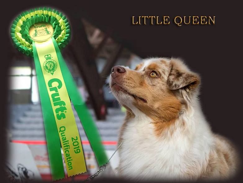 Qualifiée CRUFTS 2019